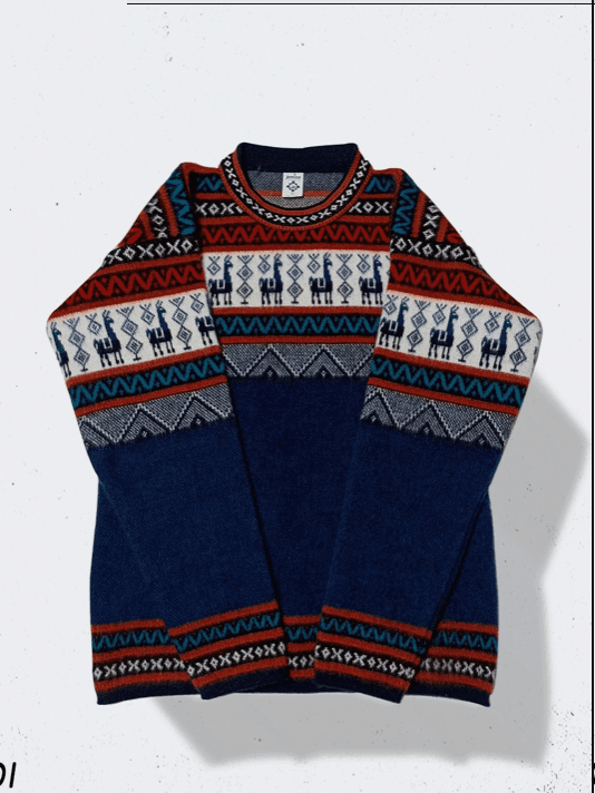 Patterned Andean Sweater